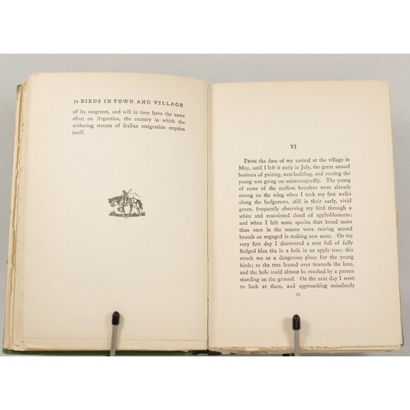 Antique Book "Birds in Town & Village" by W H Hudson, 1920, E P Dutton 1st Ed. - Picture 7 of 9